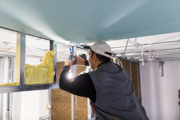Professional Insulation Contractor in Hallsville, MO